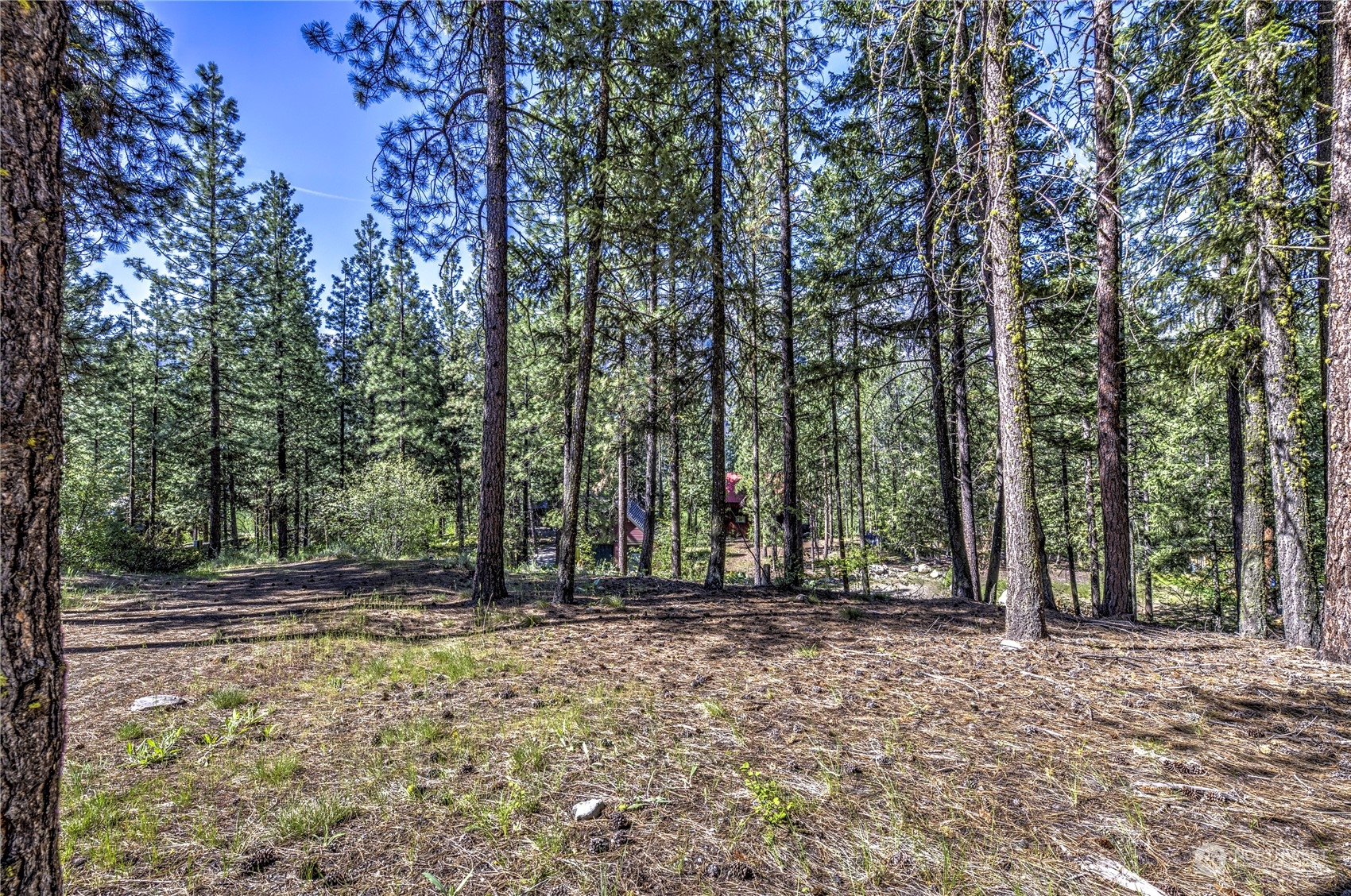 20 Cassal Road Winthrop, WA 98862 - Photo 23 of 40 a view of outdoor space with trees