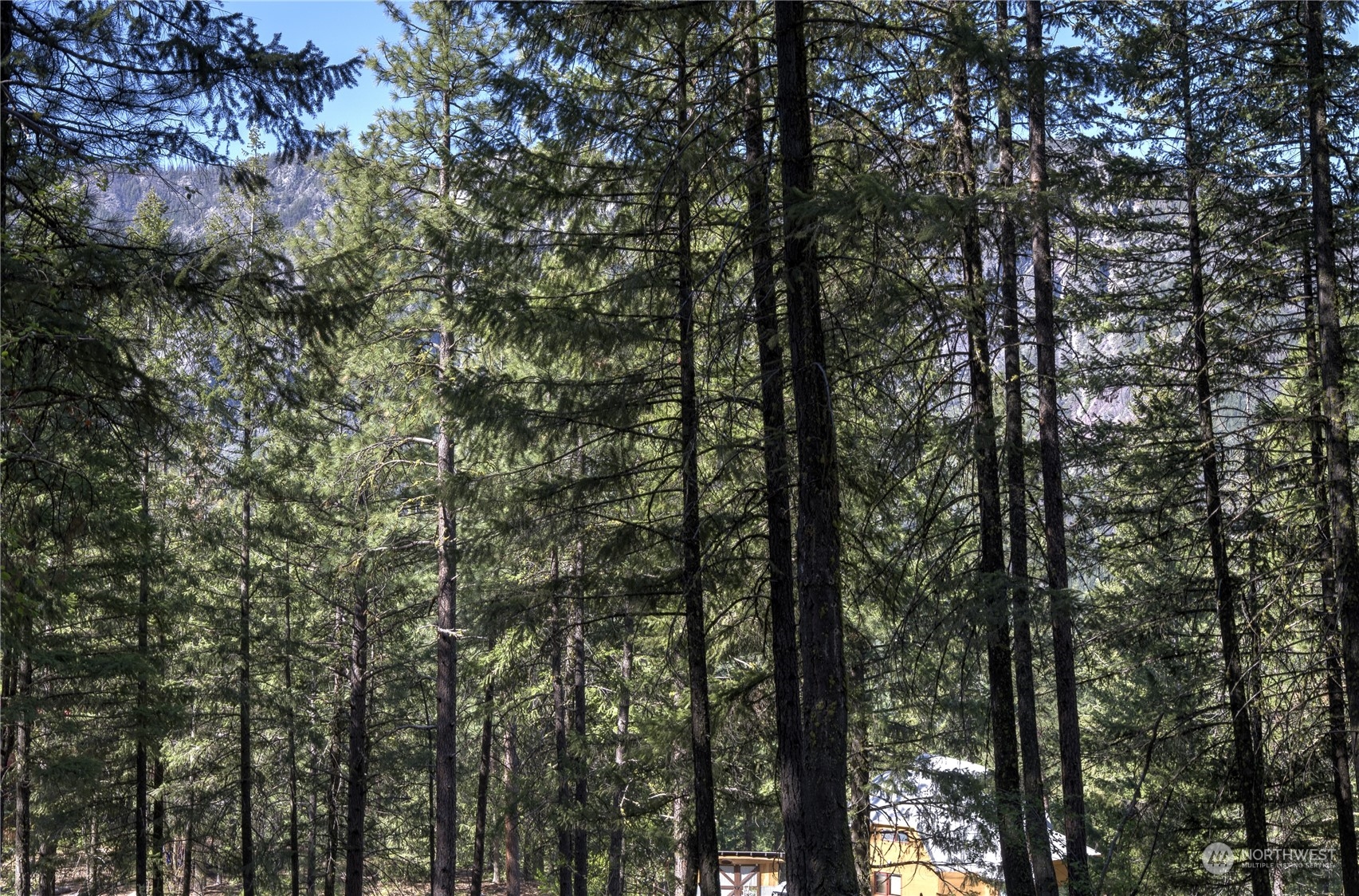 20 Cassal Road Winthrop, WA 98862 - Photo 25 of 40 a view of forest