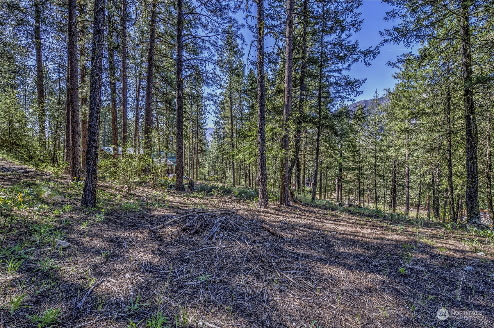 20 Cassal Road Winthrop, WA 98862 - Photo 29 of 40 a view of outdoor space with green space
