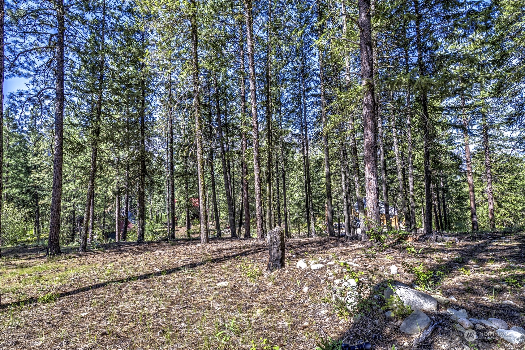 20 Cassal Road Winthrop, WA 98862 - Photo 30 of 40 a backyard of a house with lots of green space