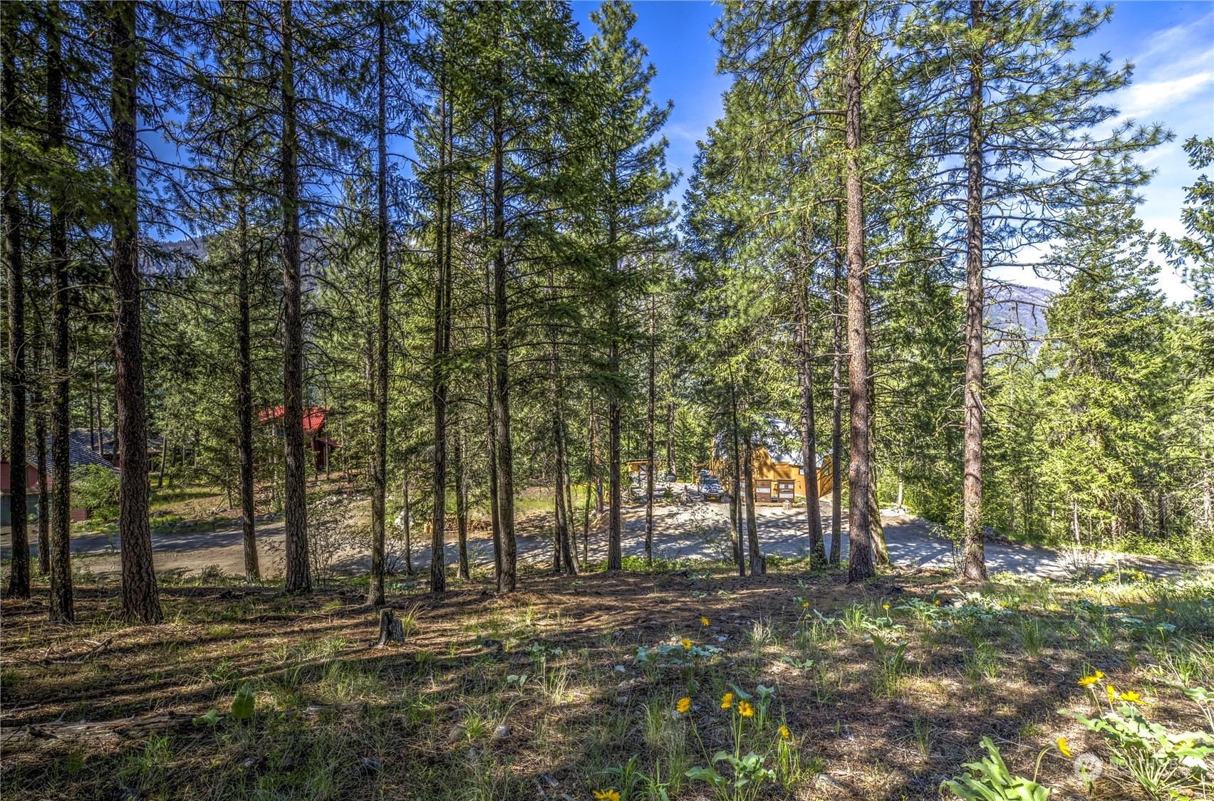 20 Cassal Road Winthrop, WA 98862 - Photo 31 of 40 a view of outdoor space with trees