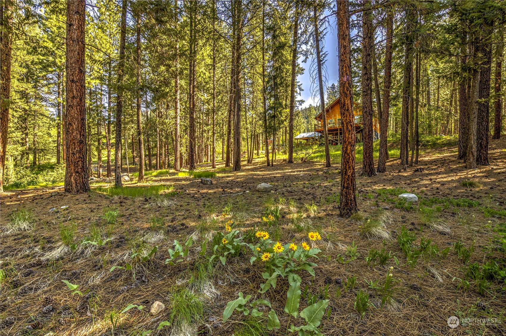 20 Cassal Road Winthrop, WA 98862 - Photo 33 of 40 a view of outdoor space with trees