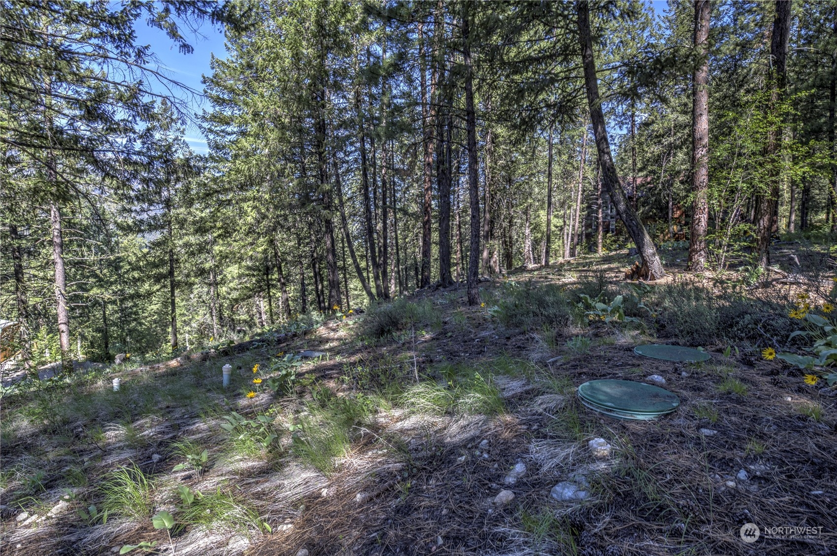 20 Cassal Road Winthrop, WA 98862 - Photo 36 of 40 a big yard with lots of green space