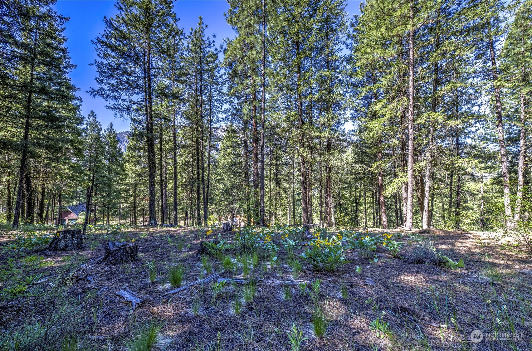 20 Cassal Road Winthrop, WA 98862 - Photo 38 of 40 a view of outdoor space with green space