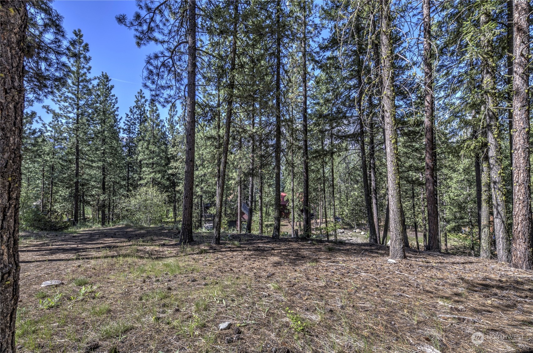 20 Cassal Road Winthrop, WA 98862 - Photo 40 of 40 a view of outdoor space with trees