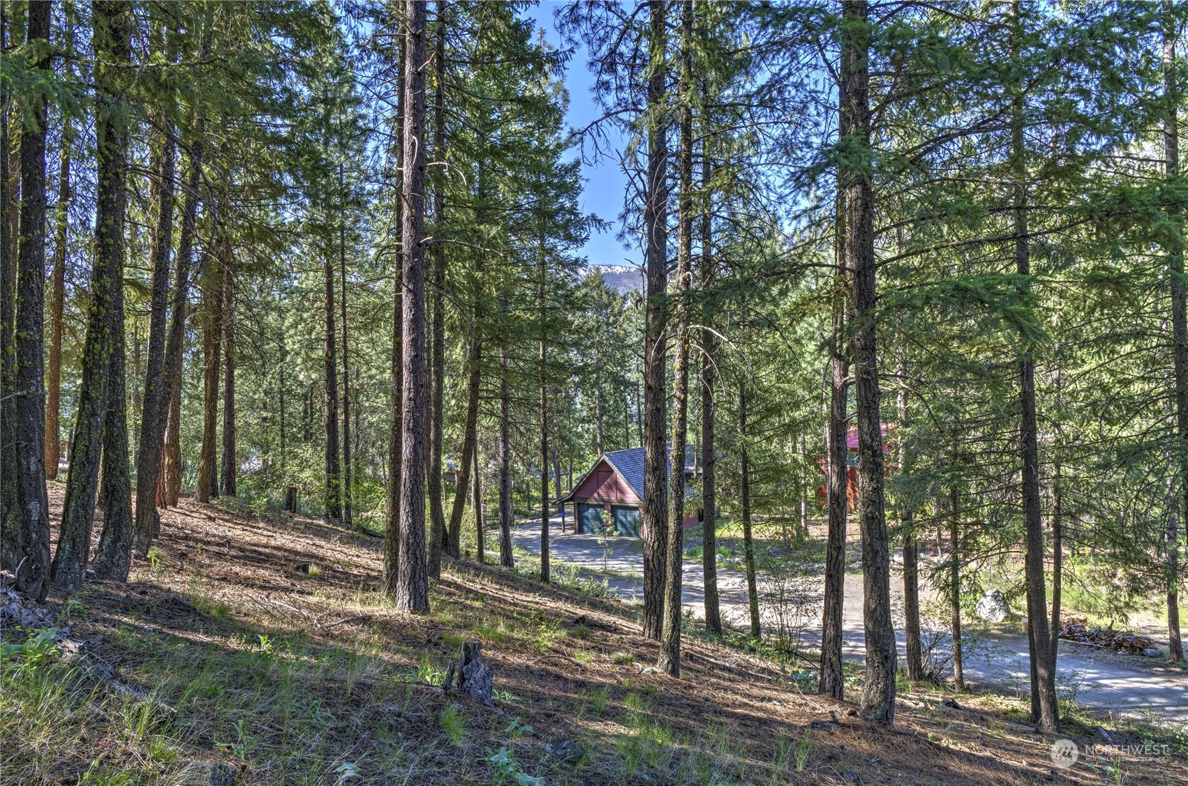 20 Cassal Road Winthrop, WA 98862 - Photo 6 of 40 a view of outdoor space and garden