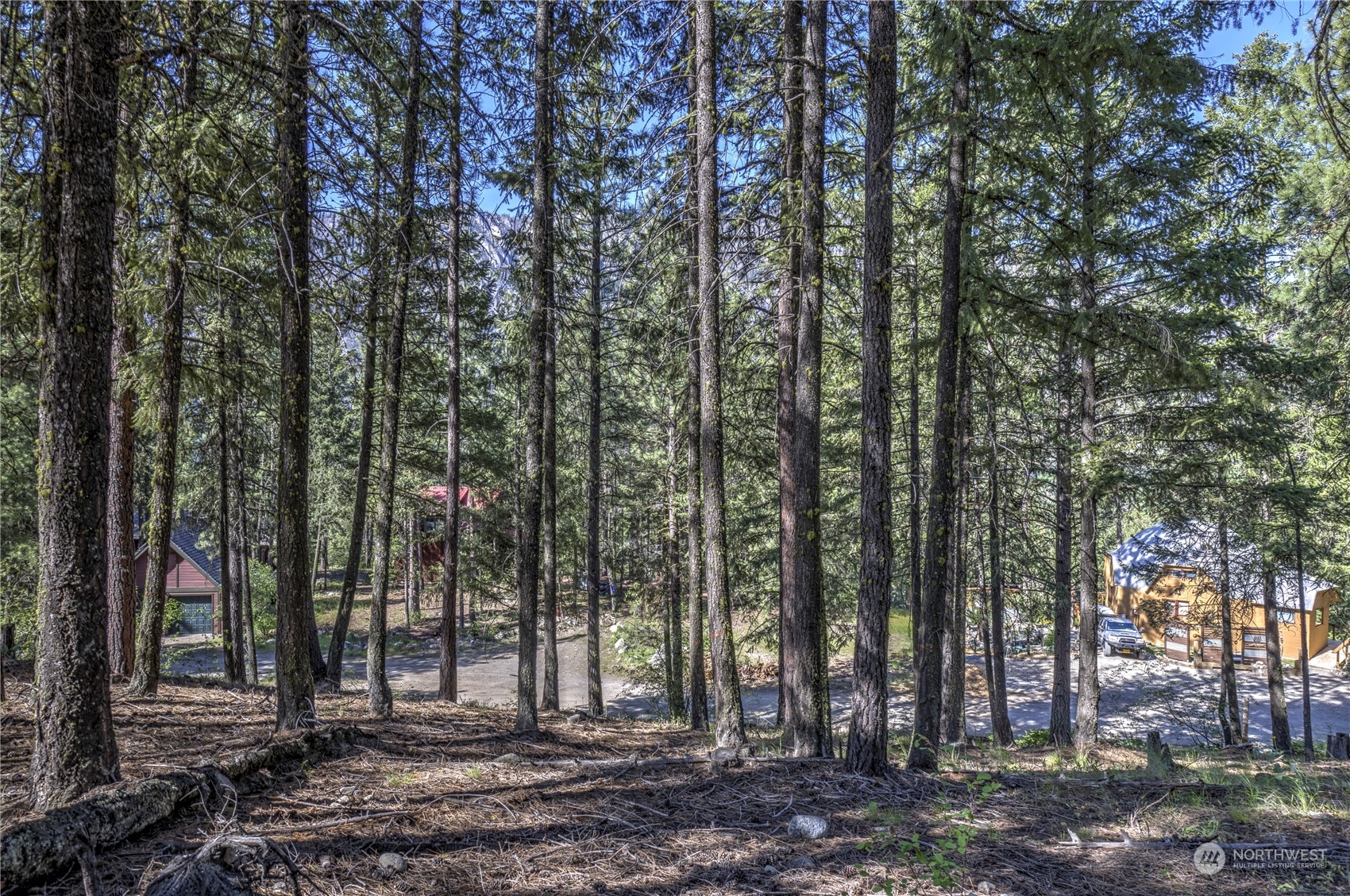 20 Cassal Road Winthrop, WA 98862 - Photo 9 of 40 a view of a backyard with trees