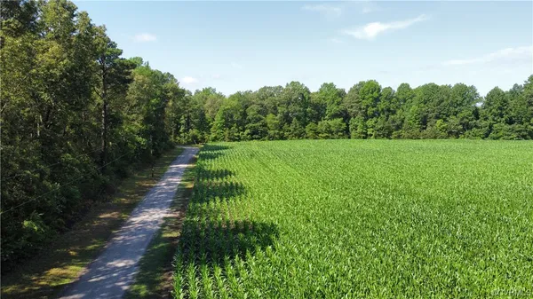 a big yard with lots of green space