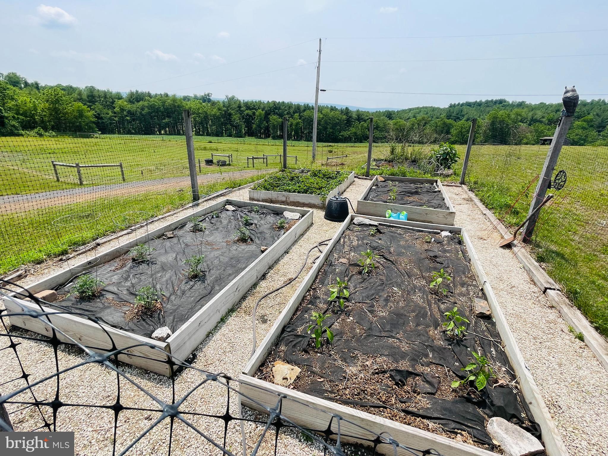 19 Kutz Road Schuylkill Haven, PA 17972 - Photo 56 of 69 Garden Beds