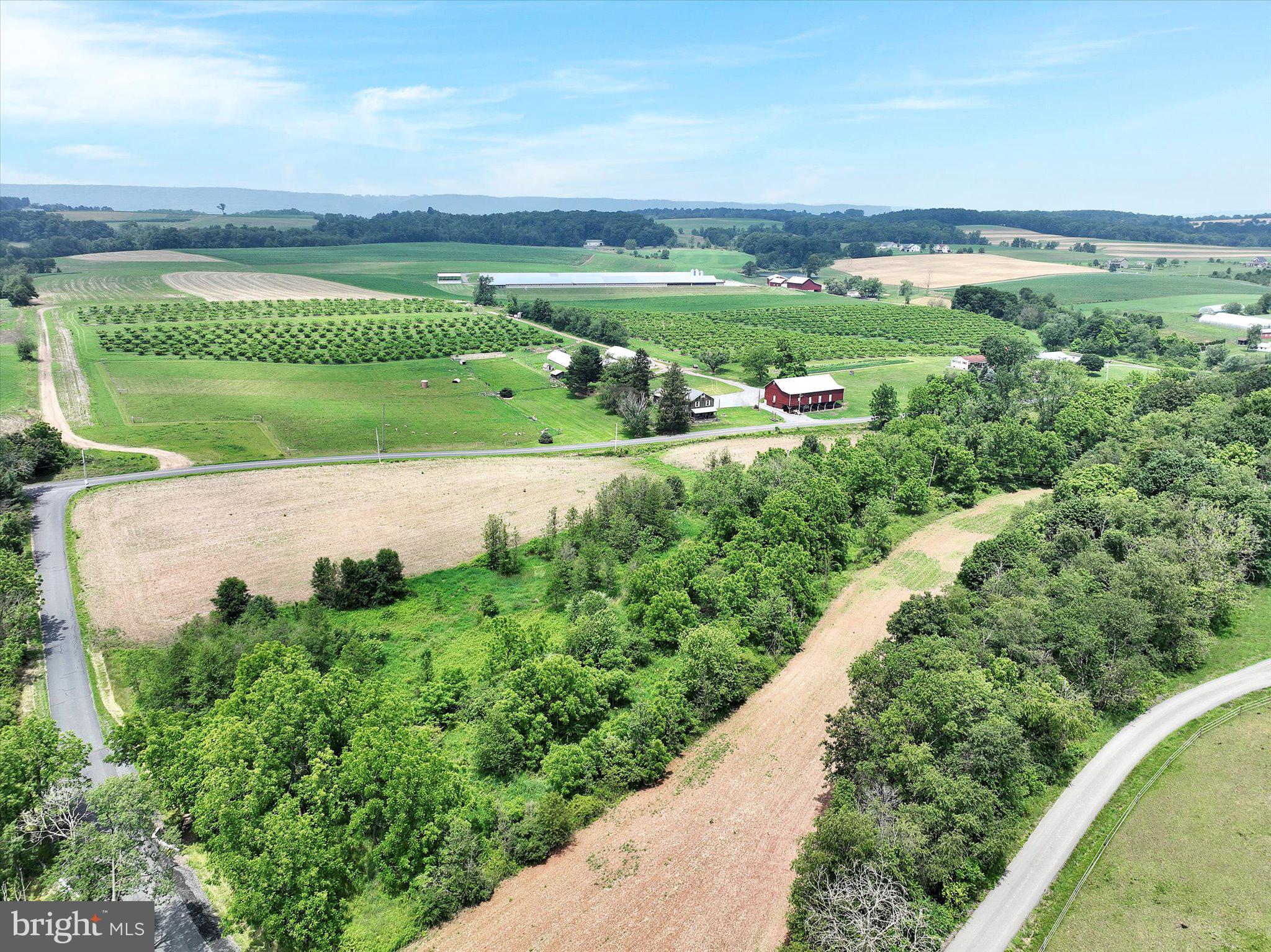 19 Kutz Road Schuylkill Haven, PA 17972 - Photo 58 of 69 Additional land to left of driveway.