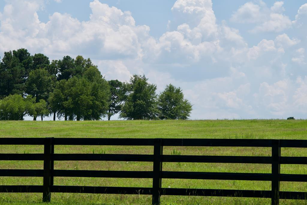 Lot 16 New Bridge Road Aiken, SC 29801 - Photo 2 of 10