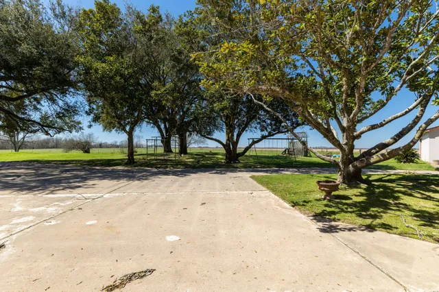 a view of swimming pool with trees