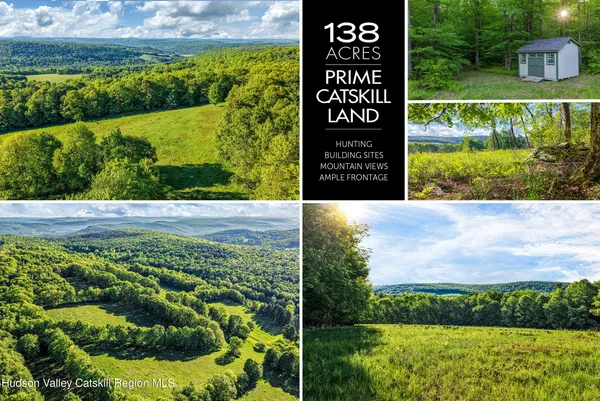 $415,000 | 0 Frank Slawson Road, Oneonta, NY 13820