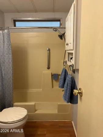 a bathroom with a shower and toilet