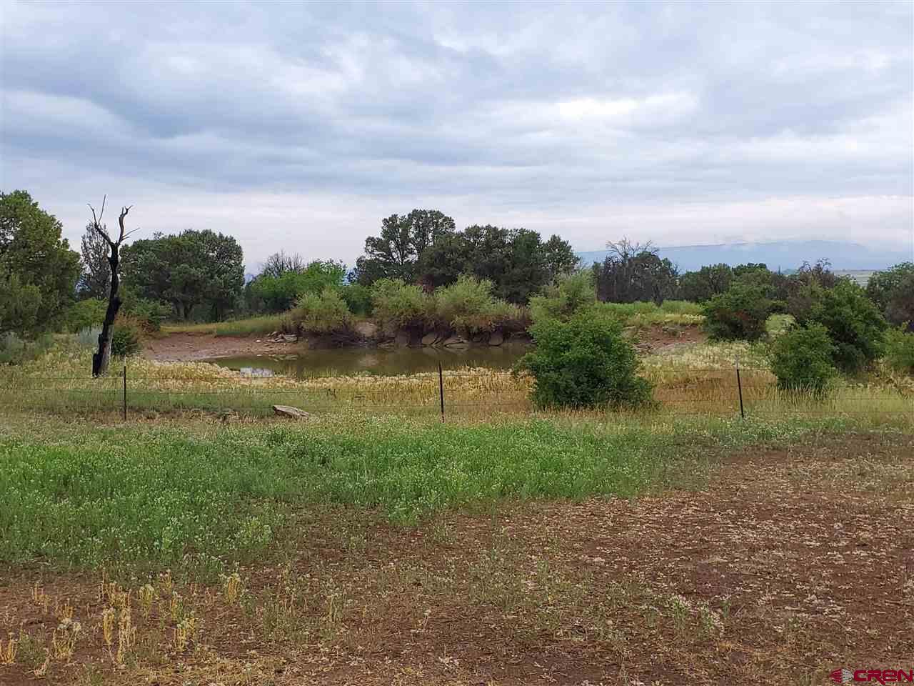 35386 3775th Road Redvale, CO 81431 - Photo 2 of 12 a view of a lake with outdoor space