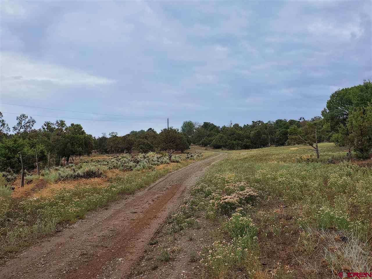 35386 3775th Road Redvale, CO 81431 - Photo 12 of 12 a view of a field with trees in background