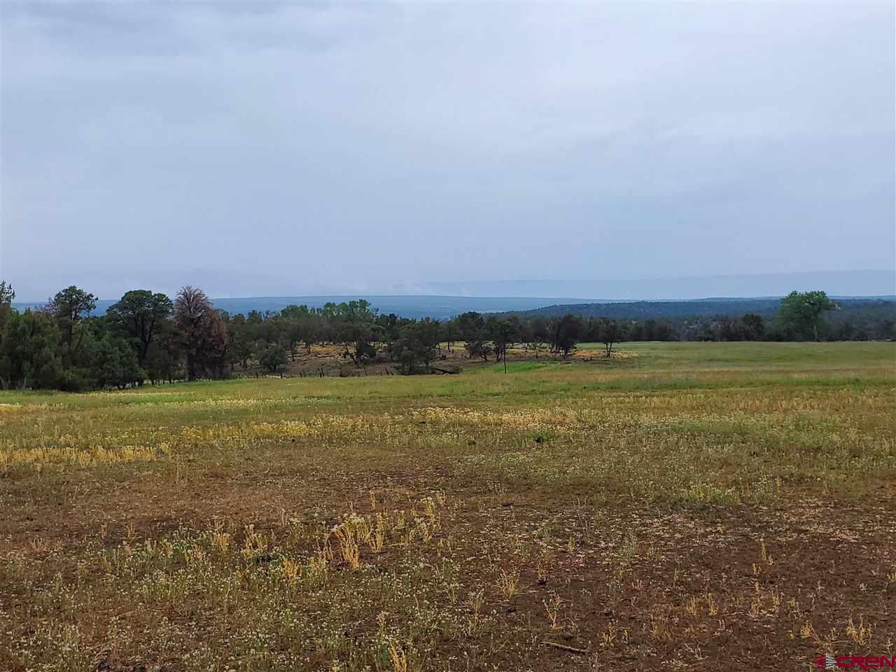 35386 3775th Road Redvale, CO 81431 - Photo 3 of 12 a view of an ocean
