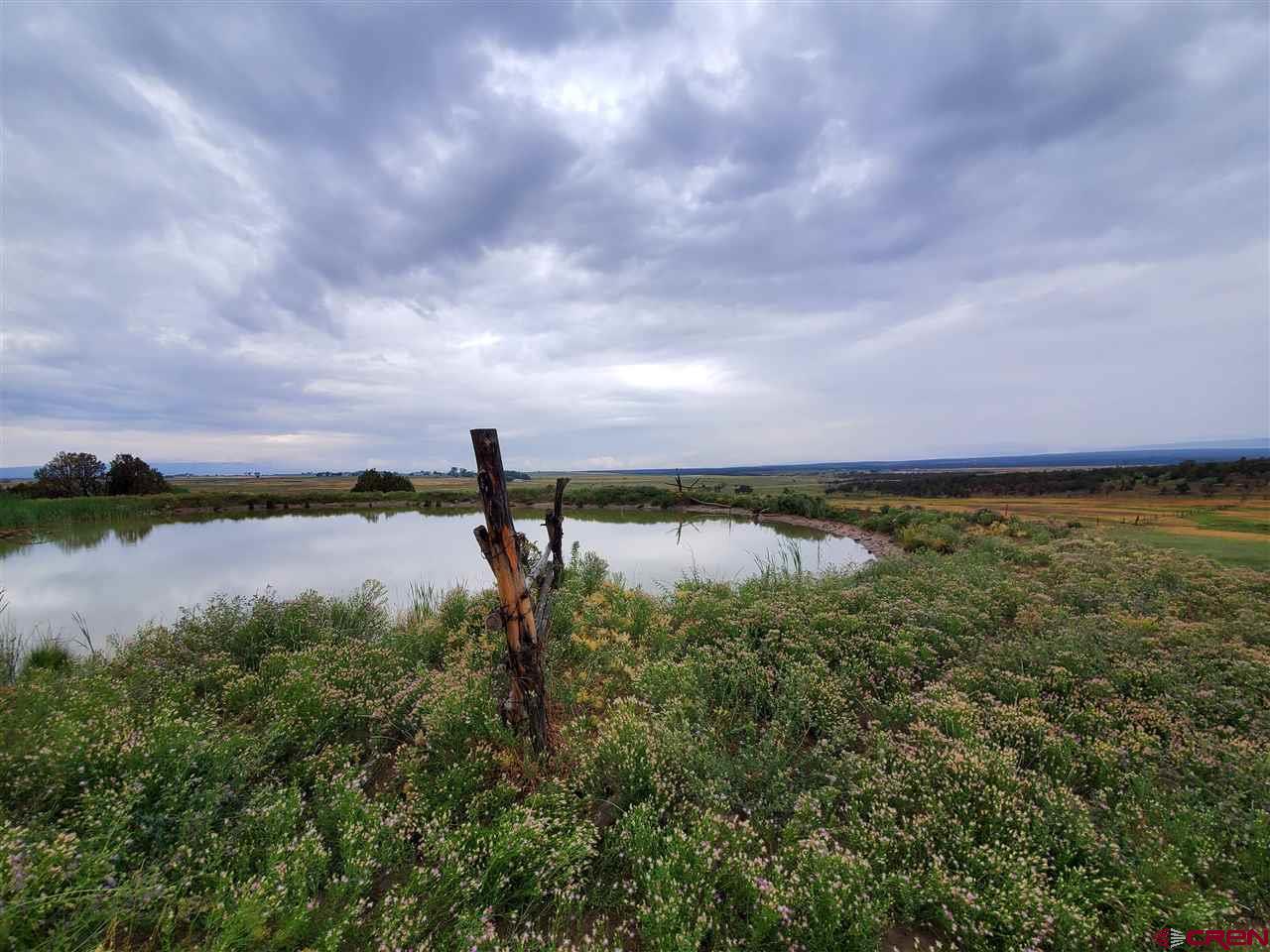 35386 3775th Road Redvale, CO 81431 - Photo 5 of 12 a view of a lake from a yard