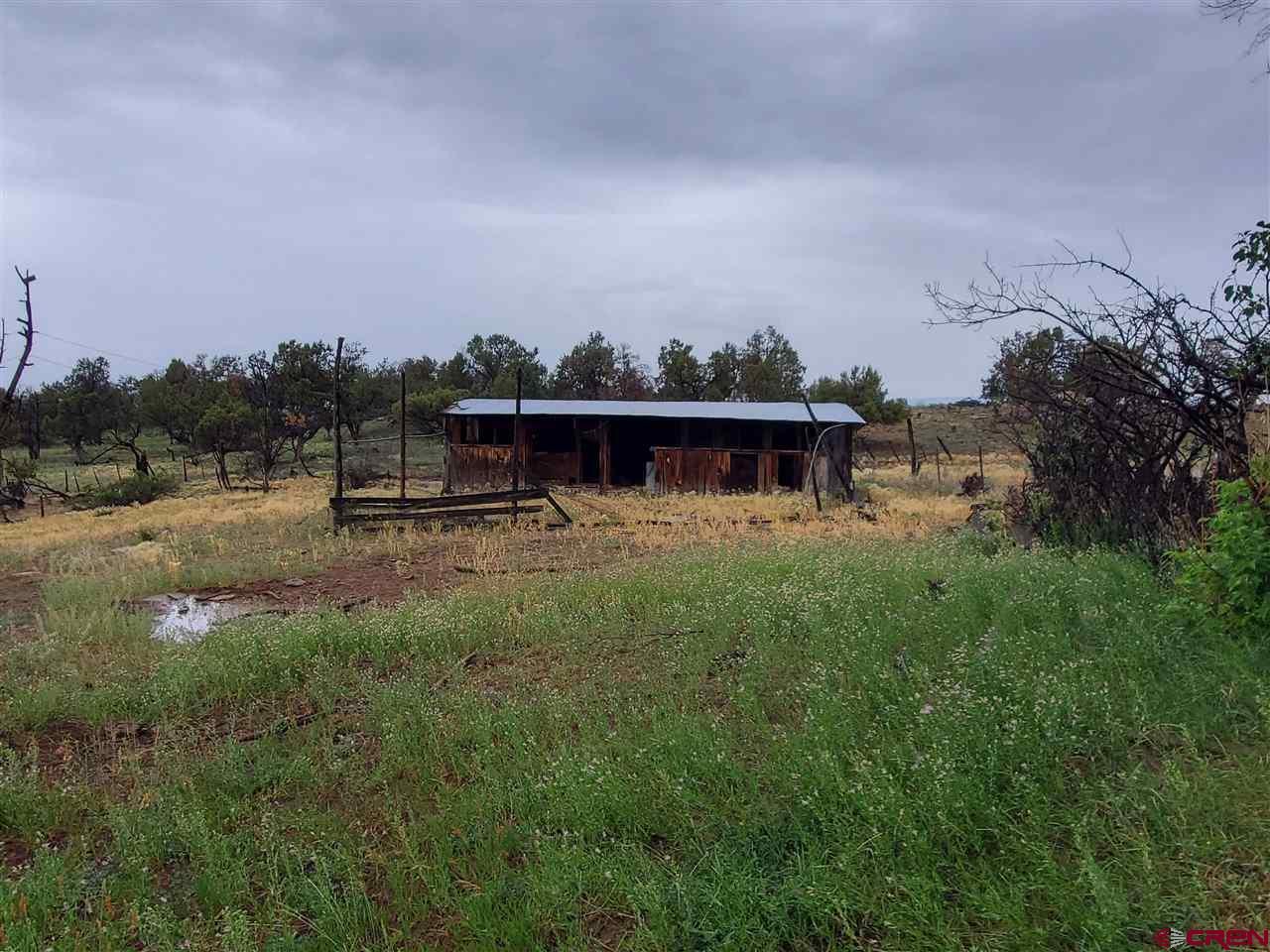 35386 3775th Road Redvale, CO 81431 - Photo 6 of 12 a view of a house with a yard and sitting area