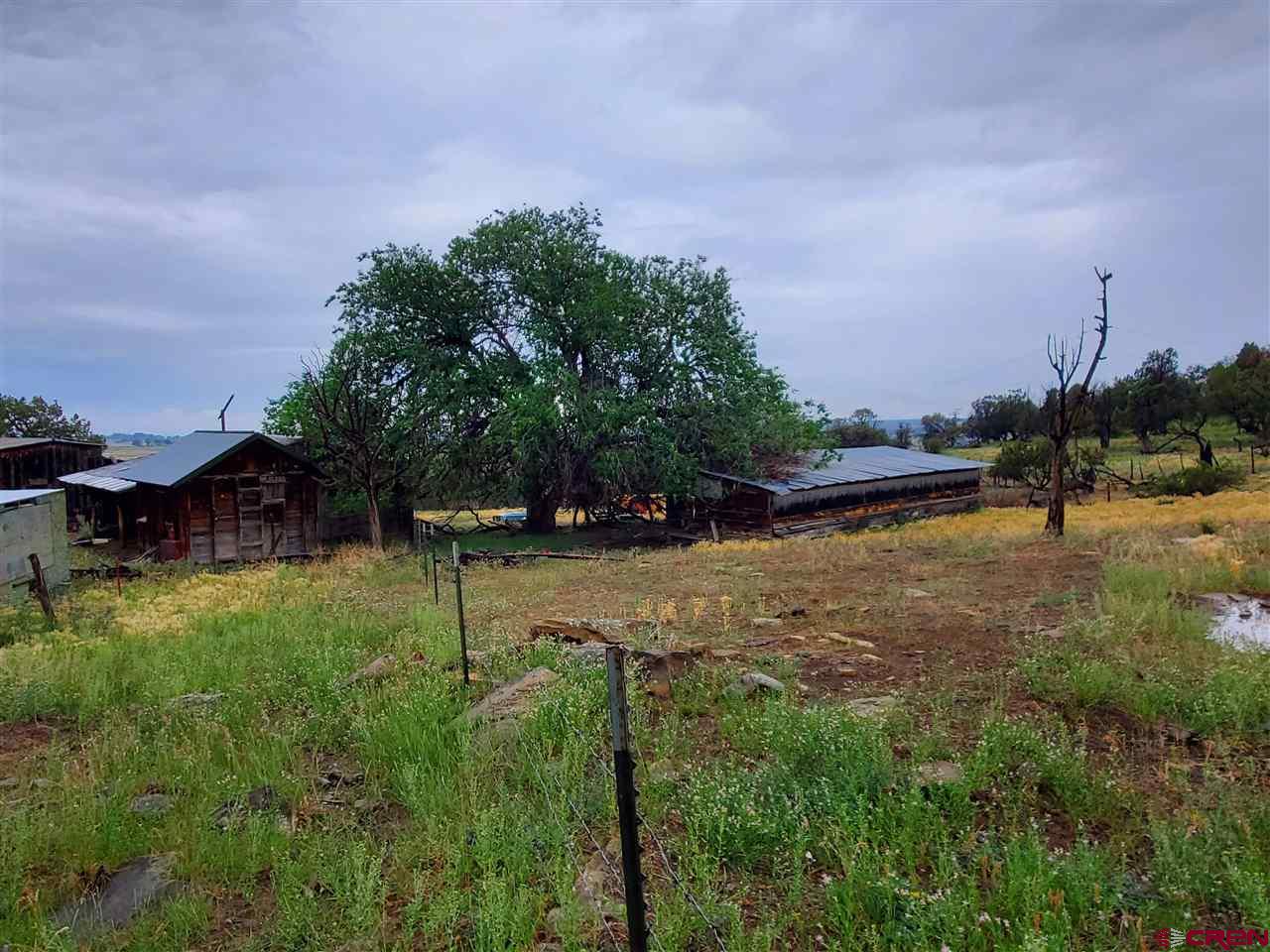 35386 3775th Road Redvale, CO 81431 - Photo 7 of 12 a view of outdoor space with deck and yard