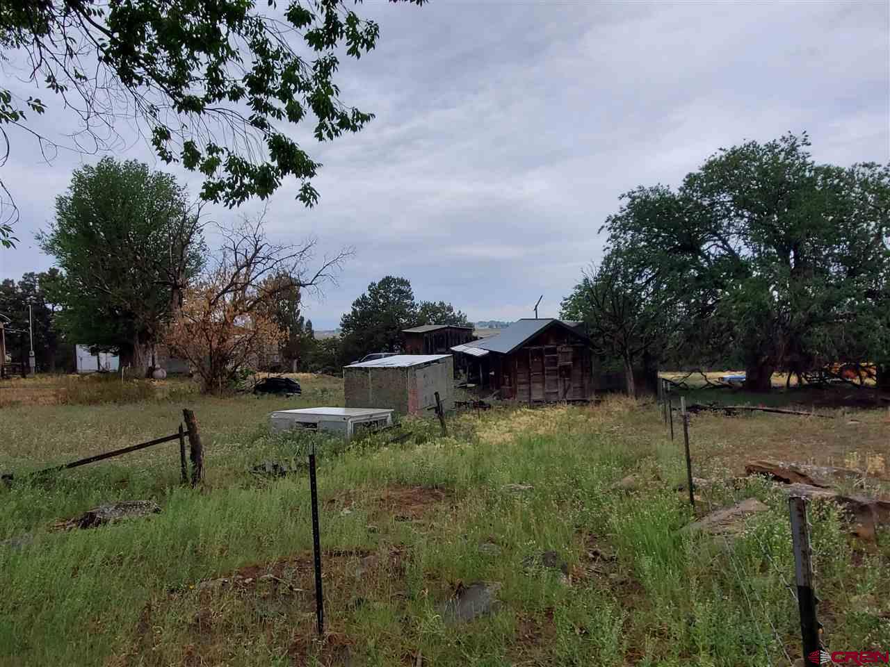 35386 3775th Road Redvale, CO 81431 - Photo 8 of 12 a view of a garden with plants and a bench
