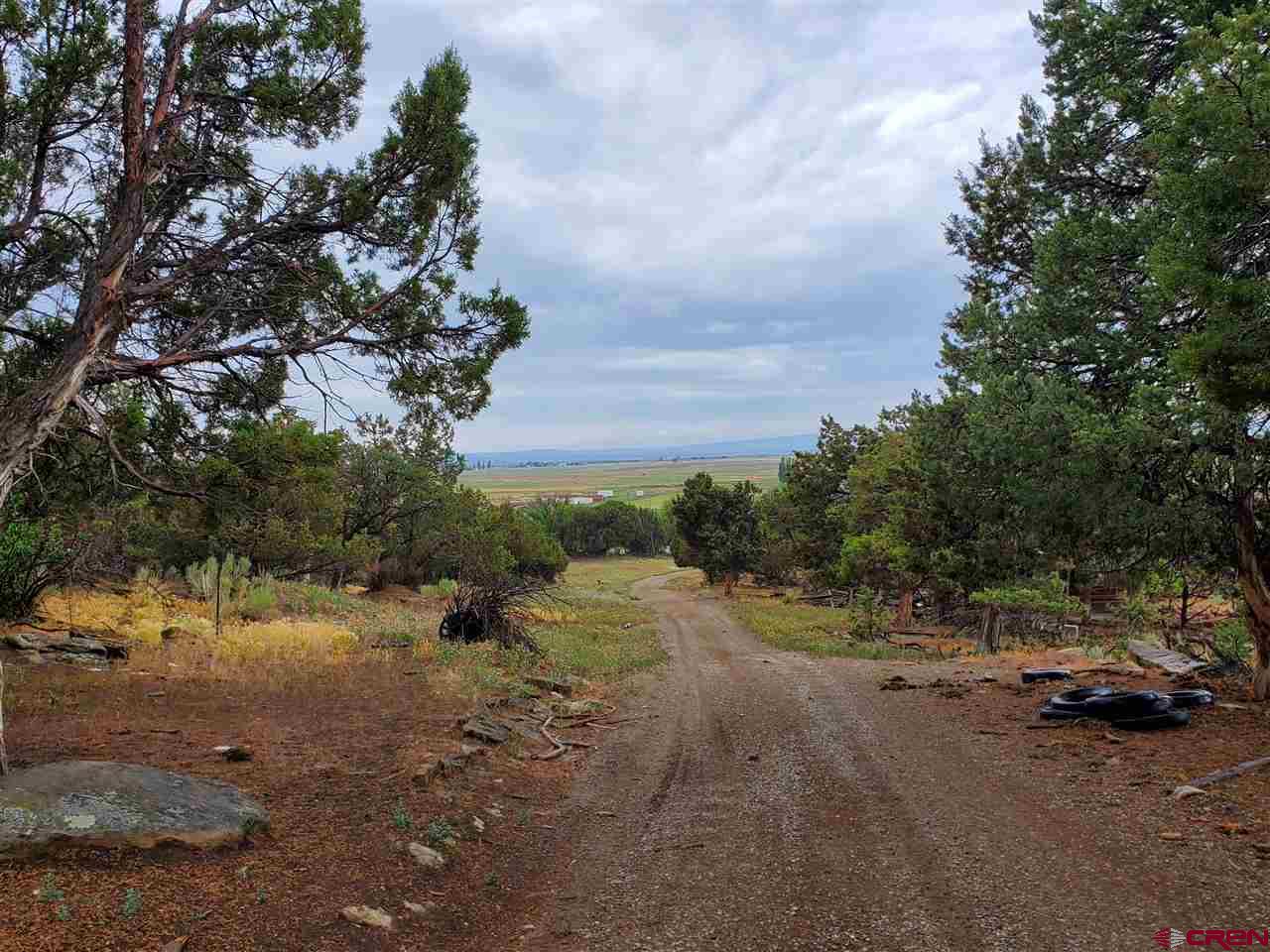35386 3775th Road Redvale, CO 81431 - Photo 9 of 12 a view of a road with a yard