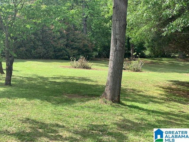 1461 Old Rocky Ridge Road Jacksonville, AL 36265 - Photo 37 of 44