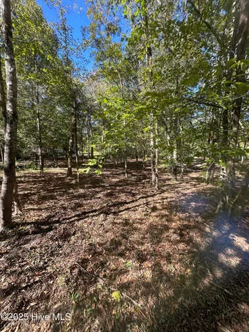 $70,000 | 366 Paul Drive, Trenton, NC 28585