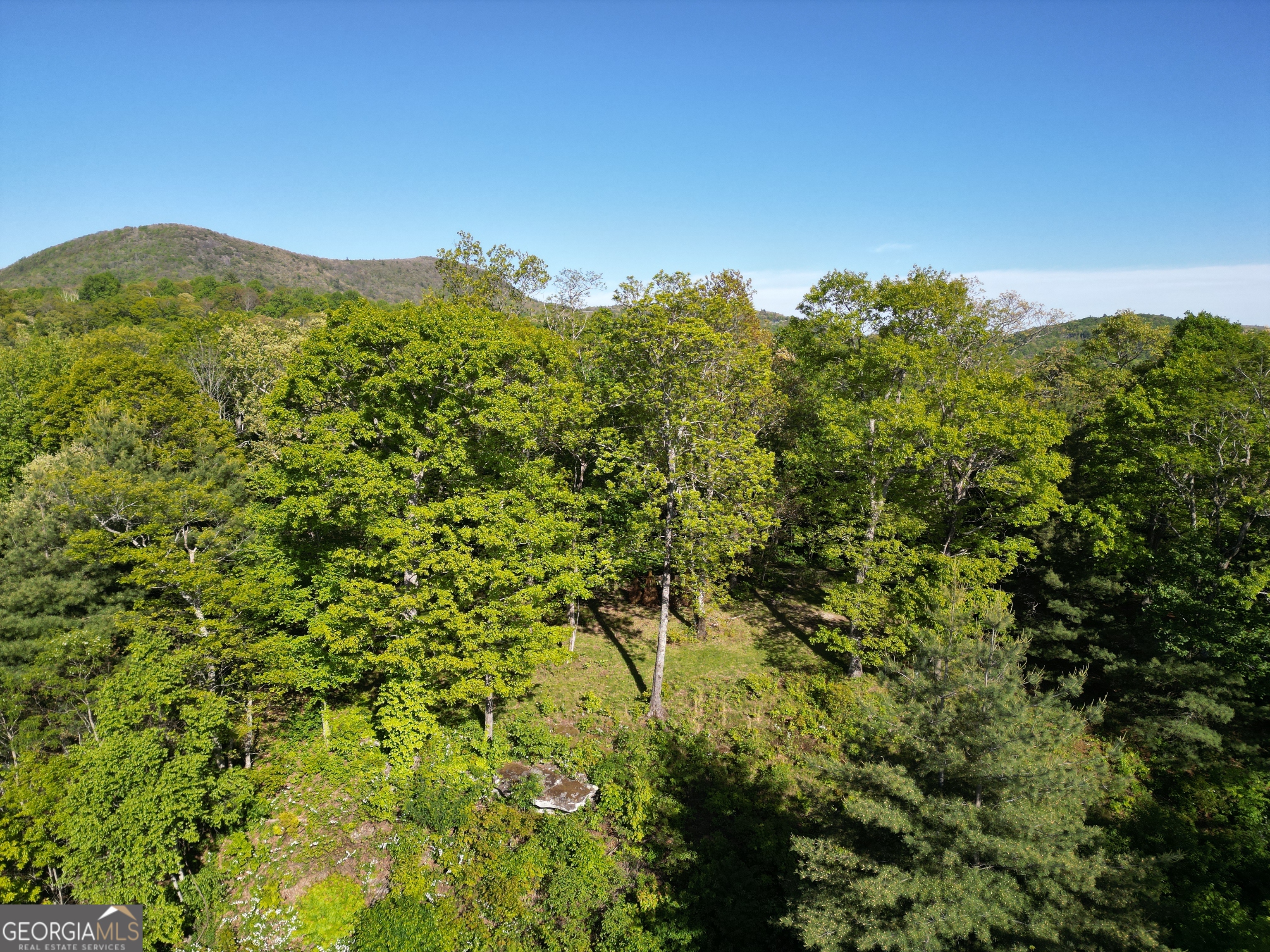 0 Rr 1622 Scaly Mountain, NC 28775 - Photo 7 of 8