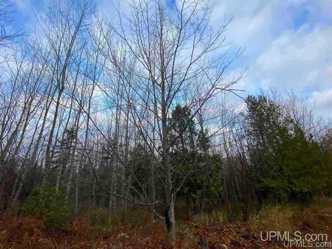 Tbd Rauhala Road Atlantic Mine, MI 49905 - Photo 18 of 27 Gallery Image 18