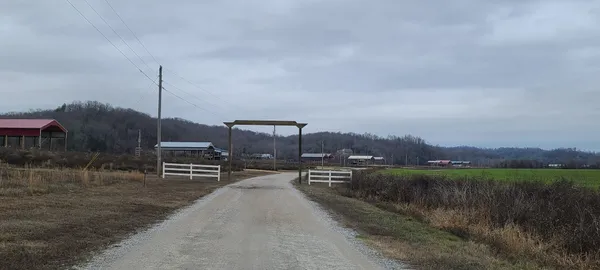 a view of a lake with a city from a lake view