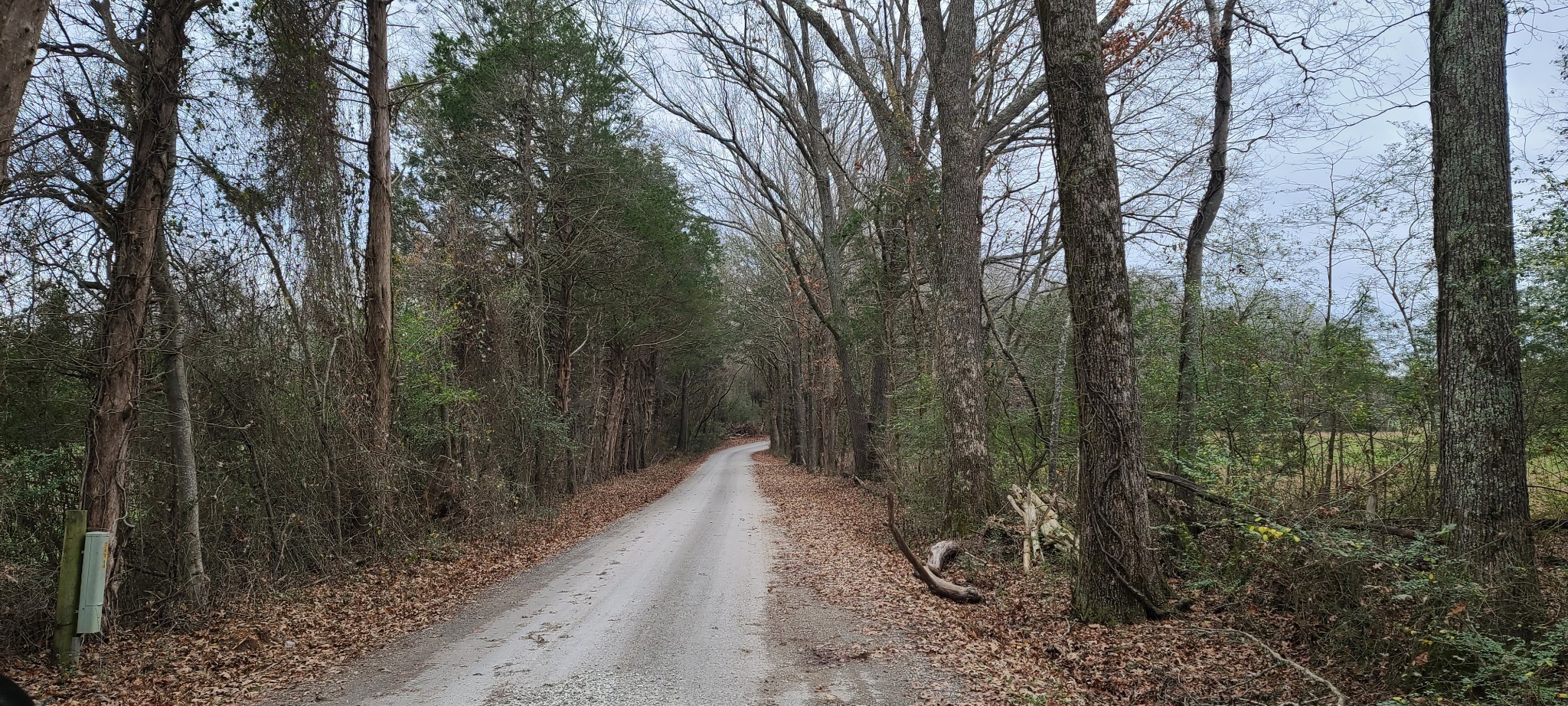 2027 Hardin Bottom River Road Clifton, TN 38425 - Photo 15 of 30