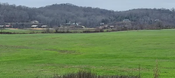 a view of yard with mountain and trees