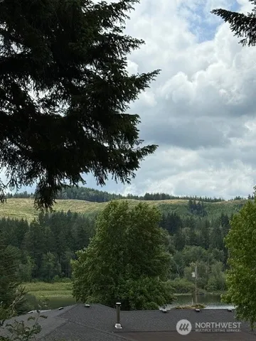 a view of a trees in a yard