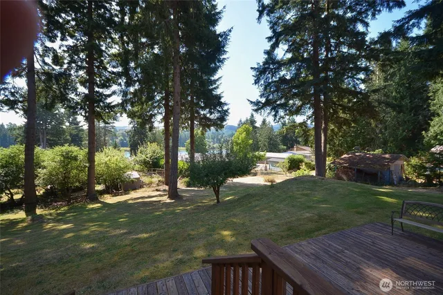 a view of a park with large trees