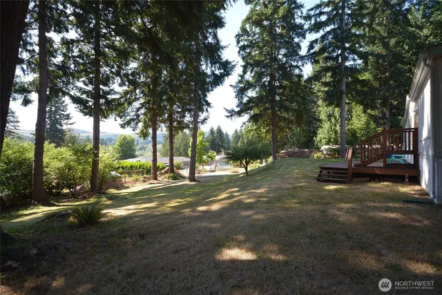 a view of road with trees