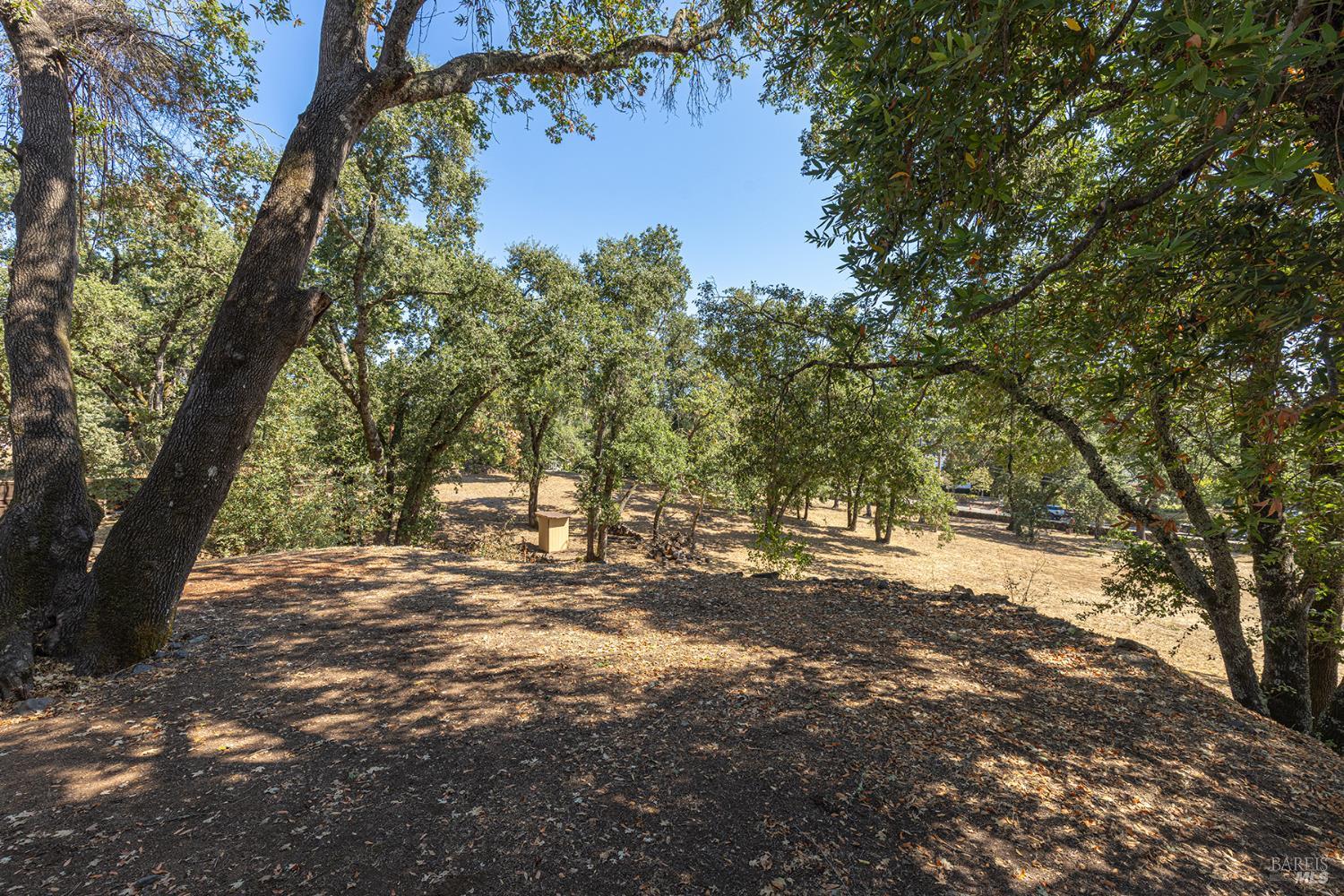 525 Keyes Avenue Angwin, CA 94508 - Photo 43 of 65