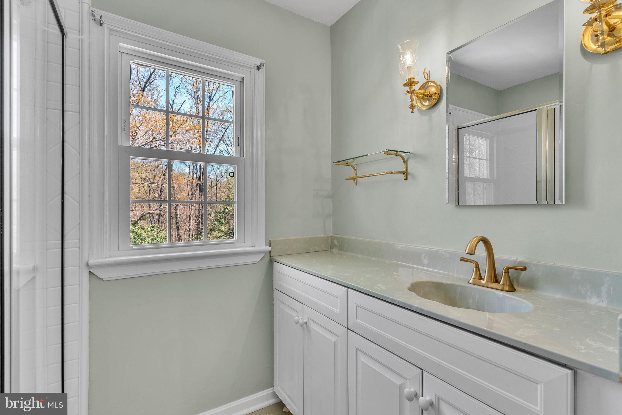 10231 3 Doctors Road Dunkirk, MD 20754 - Photo 35 of 63 a close view of sink and mirror with window