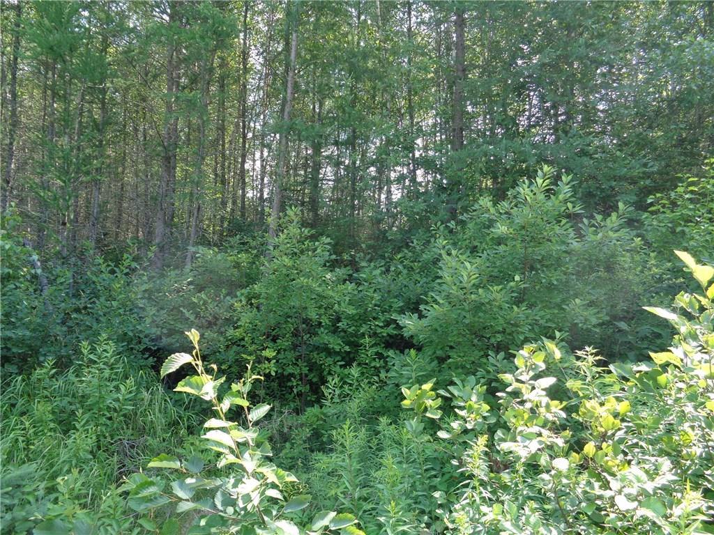 0 Dorman Road Harrington, ME 04643 - Photo 2 of 3 Photo