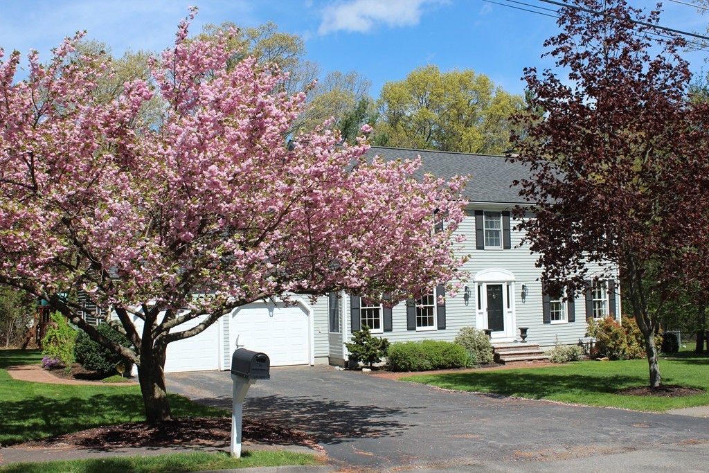 4 Lorraine Road Walpole, MA 02081 - Photo 2 of 26 Gallery Image 2