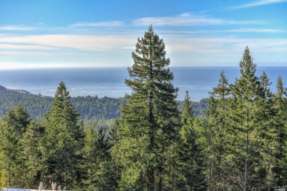 45208 Zettler Road Point Arena, CA 95468 - Photo 1 of 1