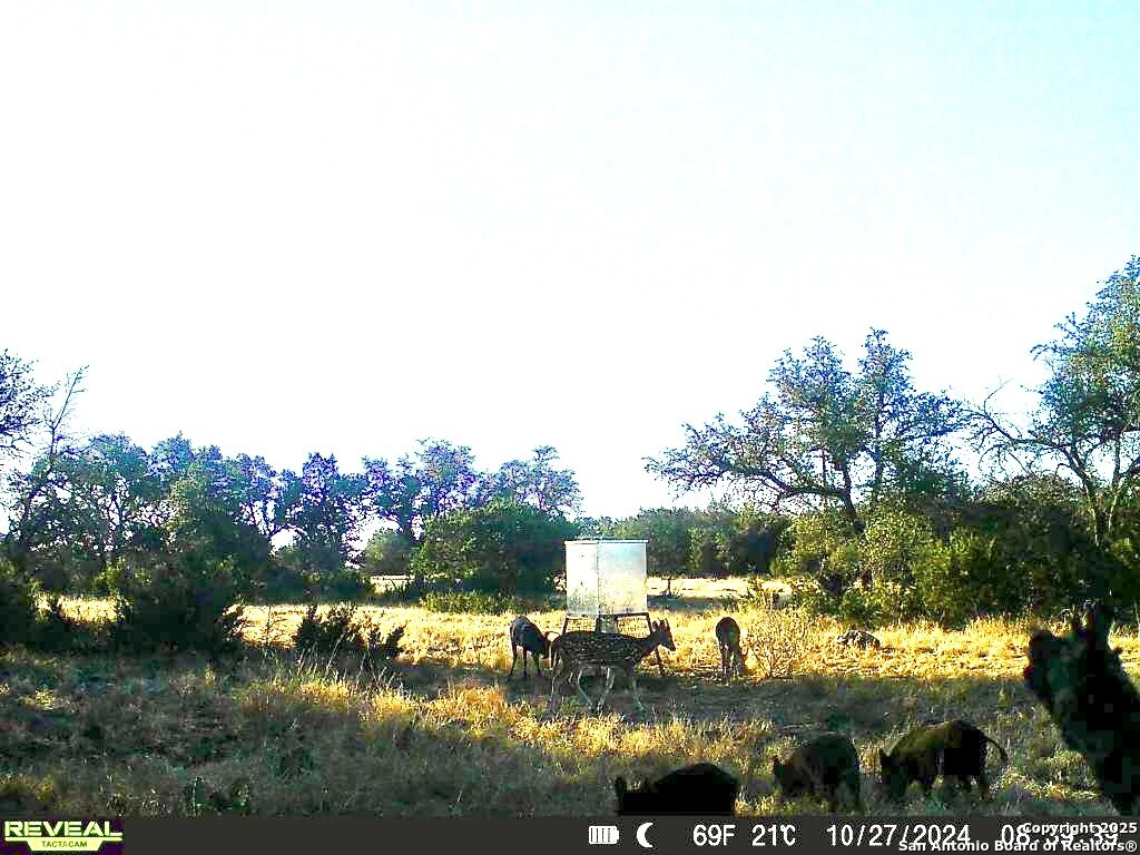 90 Tasiwoo Pvt Road Harper, TX 78631 - Photo 11 of 22 a view of lake