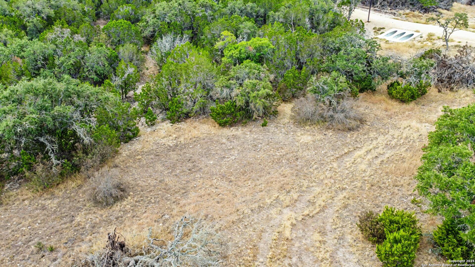 90 Tasiwoo Pvt Road Harper, TX 78631 - Photo 12 of 22 a view of a dry yard with plants and large trees