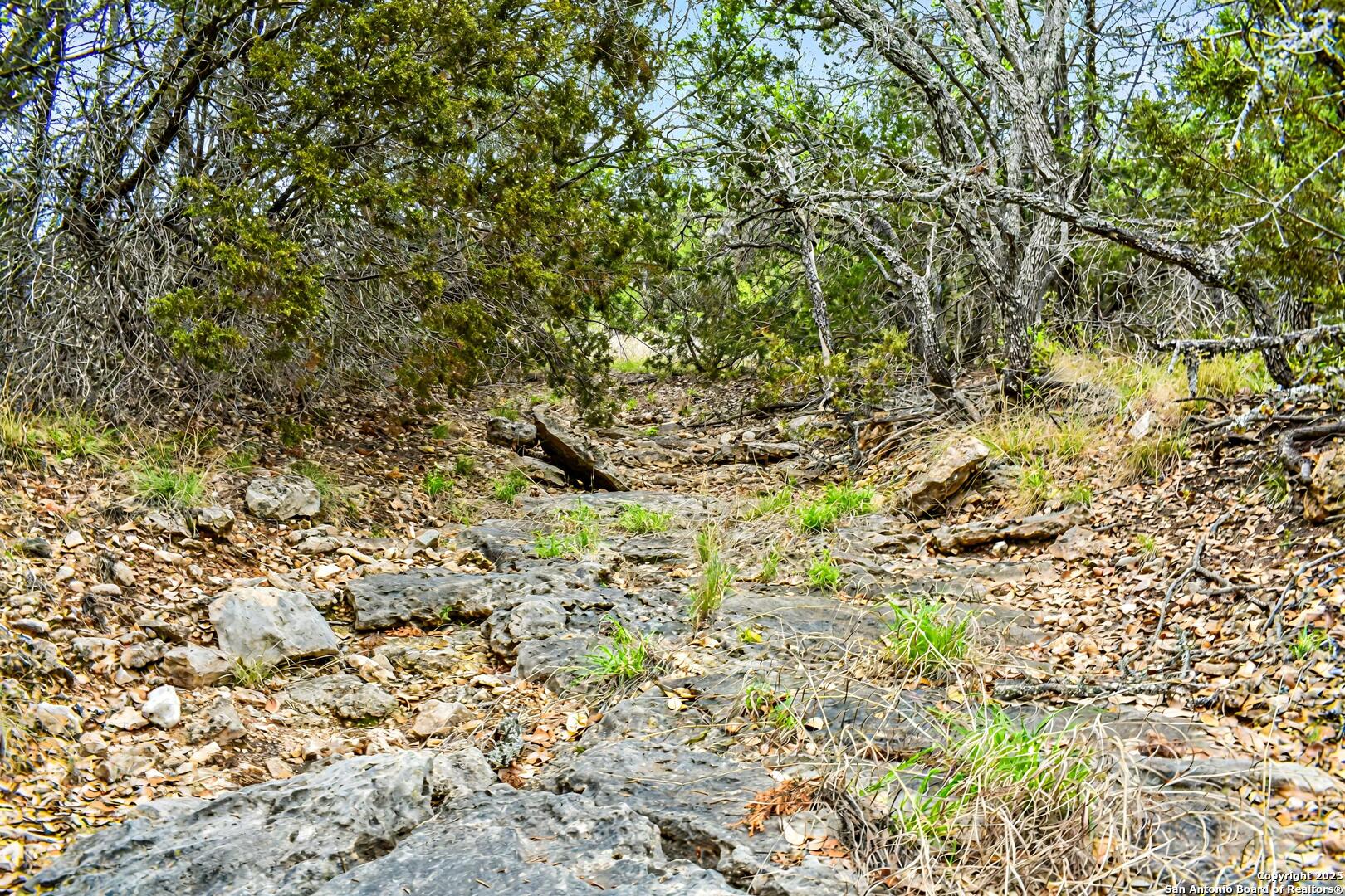 90 Tasiwoo Pvt Road Harper, TX 78631 - Photo 14 of 22