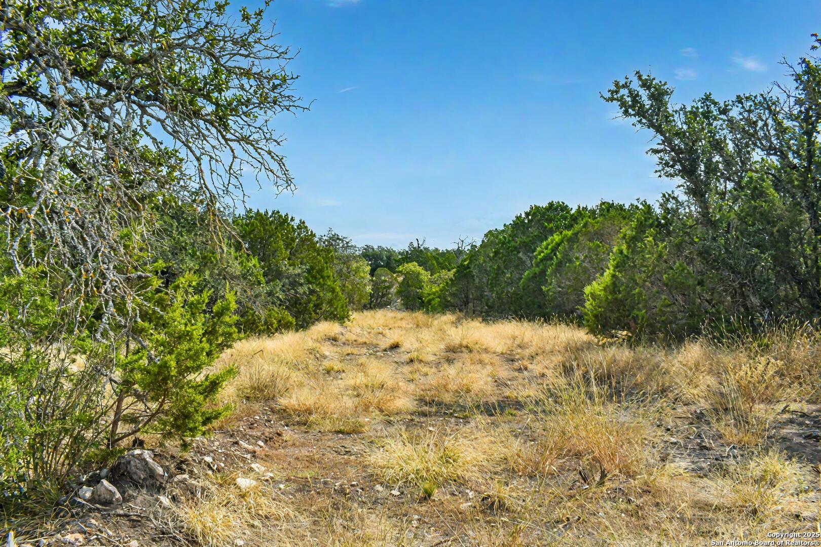 90 Tasiwoo Pvt Road Harper, TX 78631 - Photo 16 of 22 a view of a yard with a tree