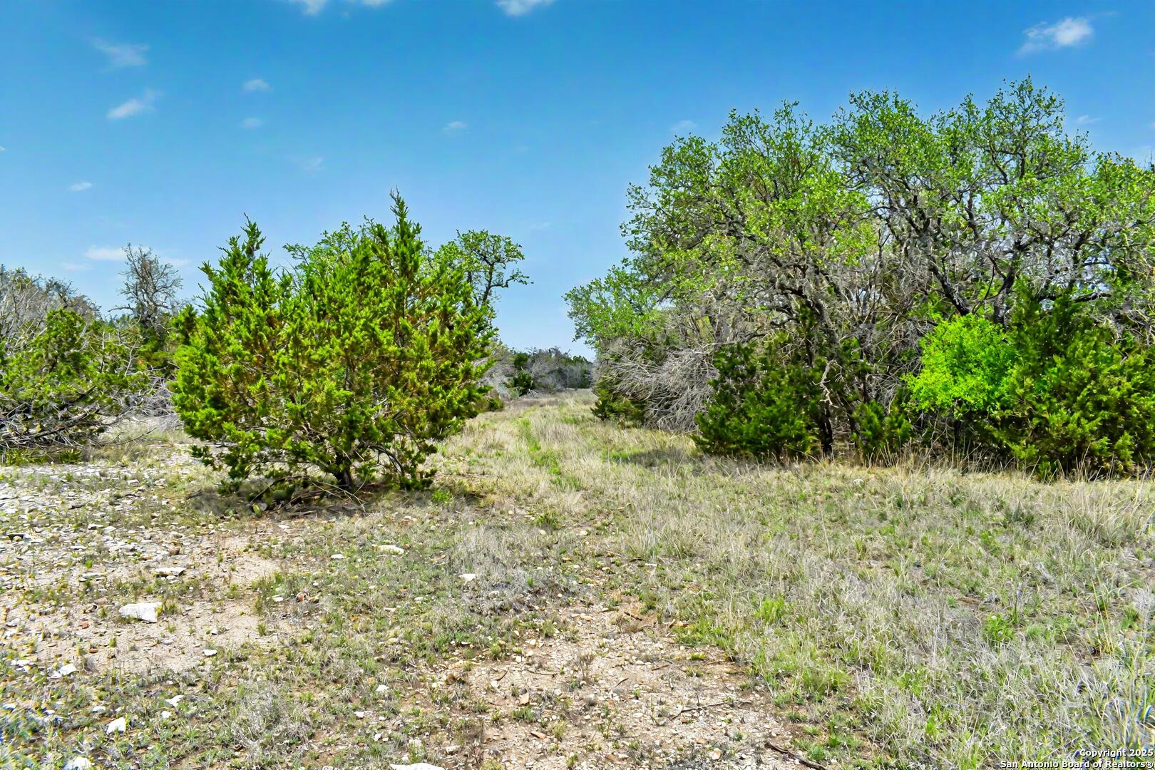 90 Tasiwoo Pvt Road Harper, TX 78631 - Photo 17 of 22 a view of a yard with a tree