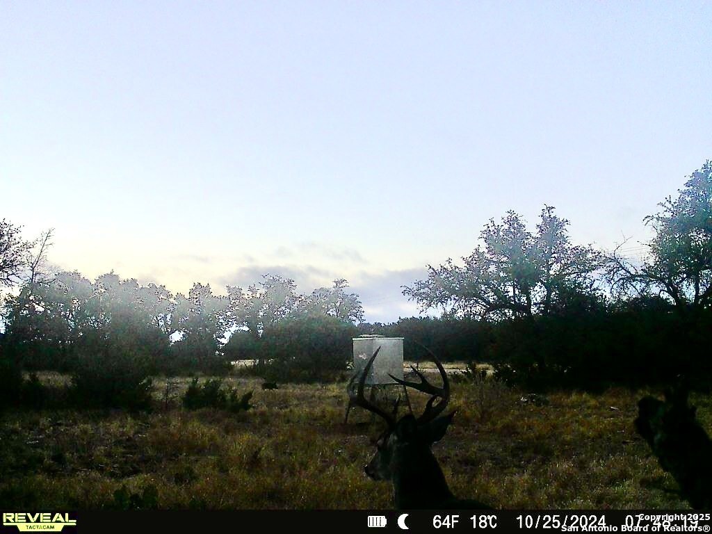 90 Tasiwoo Pvt Road Harper, TX 78631 - Photo 20 of 22 a view of a yard in front of the house