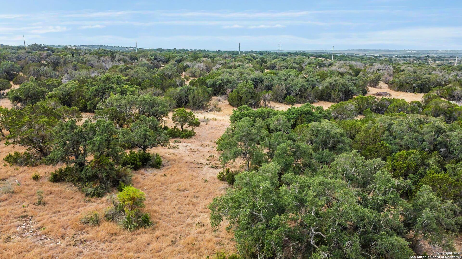 90 Tasiwoo Pvt Road Harper, TX 78631 - Photo 2 of 22 a view of a forest with a street
