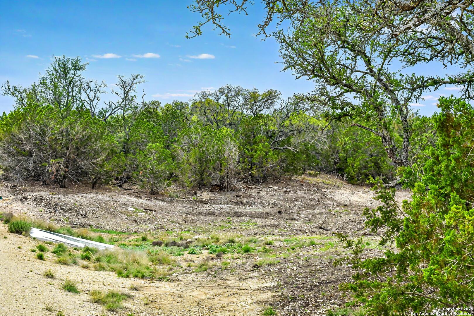90 Tasiwoo Pvt Road Harper, TX 78631 - Photo 3 of 22 a view of a yard with a tree
