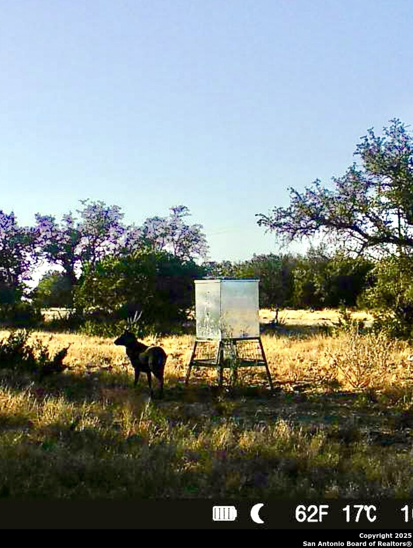 90 Tasiwoo Pvt Road Harper, TX 78631 - Photo 6 of 22 a view of a lake